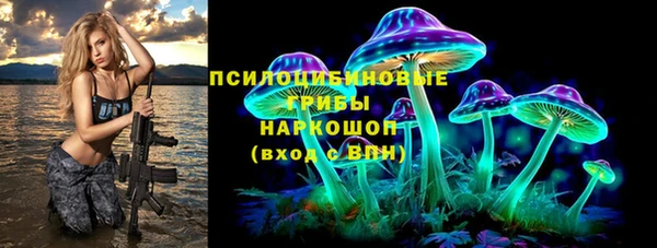 прущие грибы Алзамай
