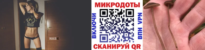 Псилоцибиновые грибы Cubensis Тотьма