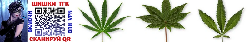 дарк нет состав  блэк спрут ссылка  Канабис THC 21%  Тотьма  закладки 